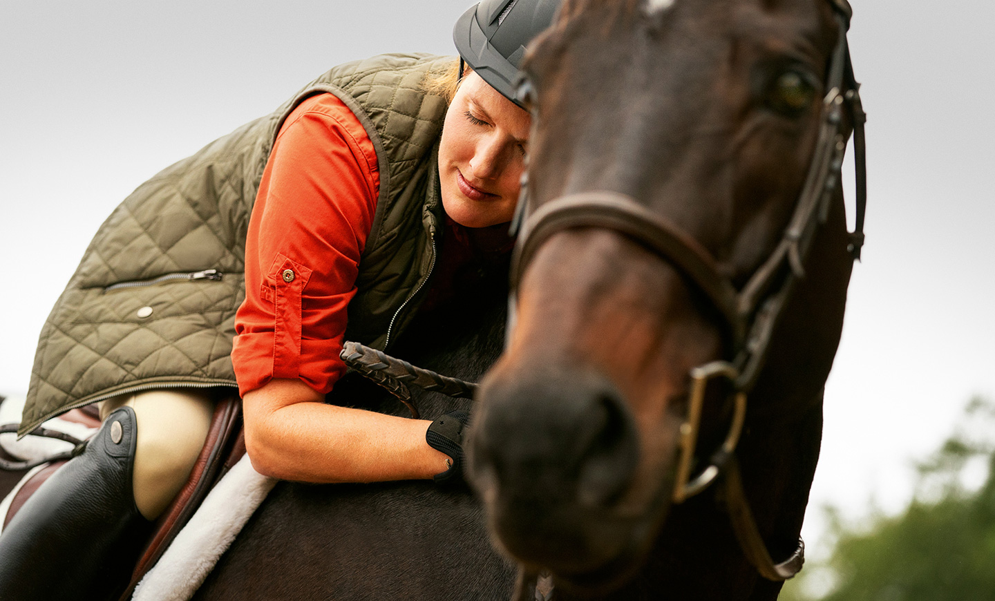 The Power of Horse-Human Connections