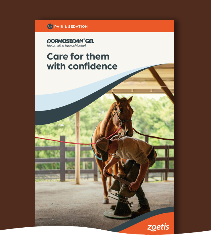 Brochure Image