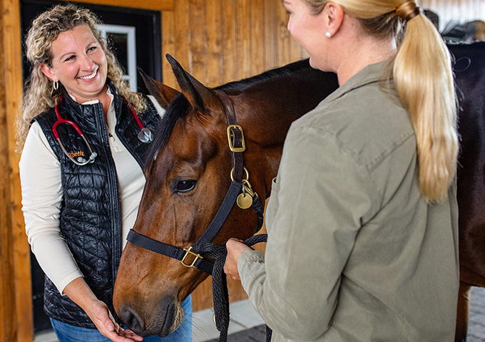 A smiling veterinarian in a black vest with a stethoscope and a woman with a ponytail stand next to a calm brown horse in a wooden stable.