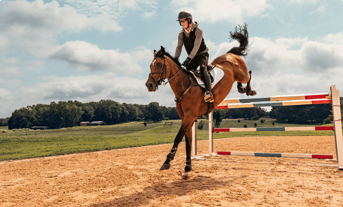 Equestrian jumping over a hurdle with a horse on a sunny day.
