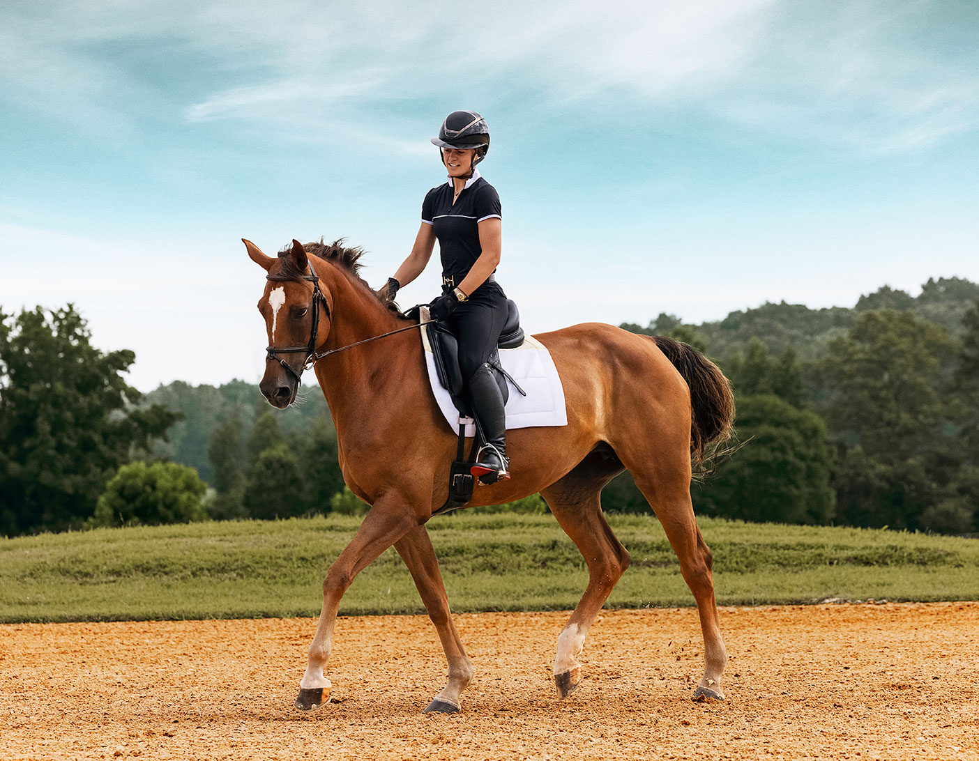 Equestrian rider on a chestnut horse in an outdoor arena with trees and blue sky.