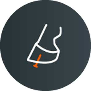 hoof abscess or puncture