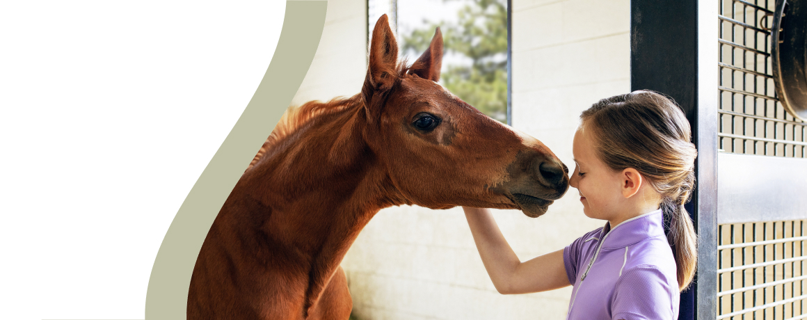 Girl in purple shirt petting a brown horse in a stable.