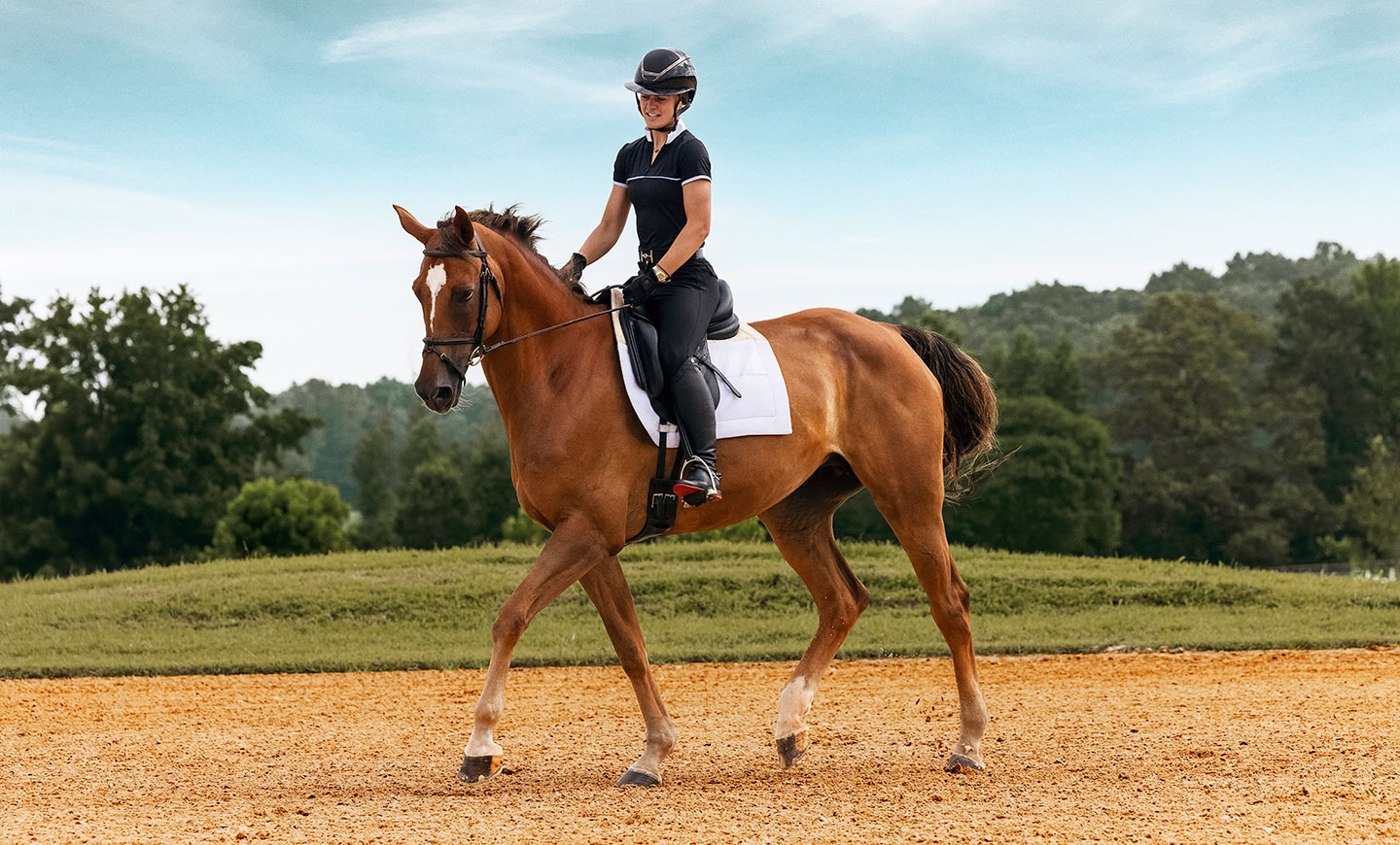Equestrian rider in helmet riding a chestnut horse in an outdoor arena with trees in background