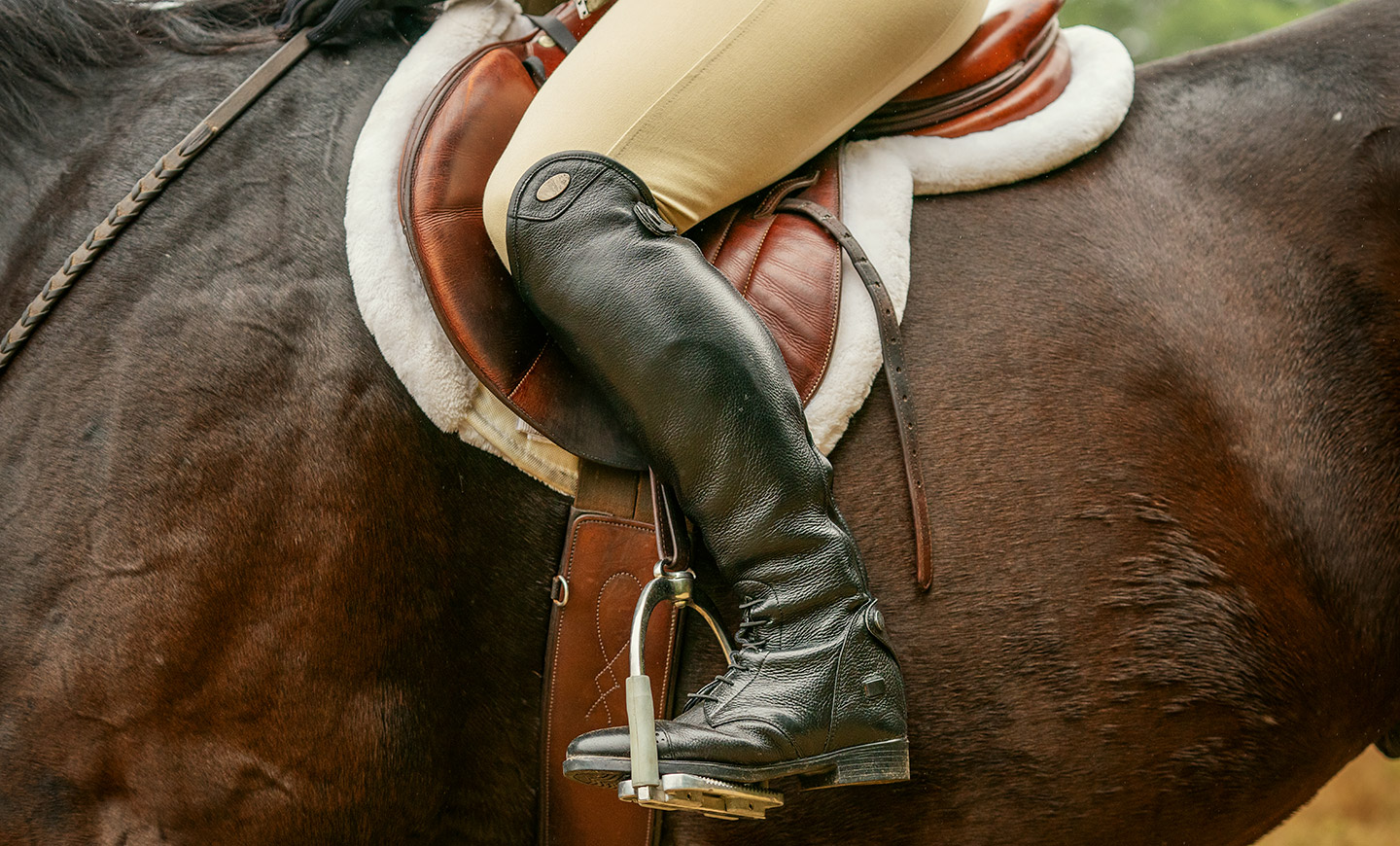 Show-Stopping Biosecurity A horse show veterinarian’s personal experience