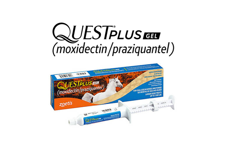 dewormers-quest-gel-plus