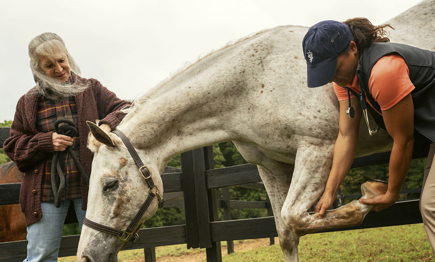 equine-first-aid-kit