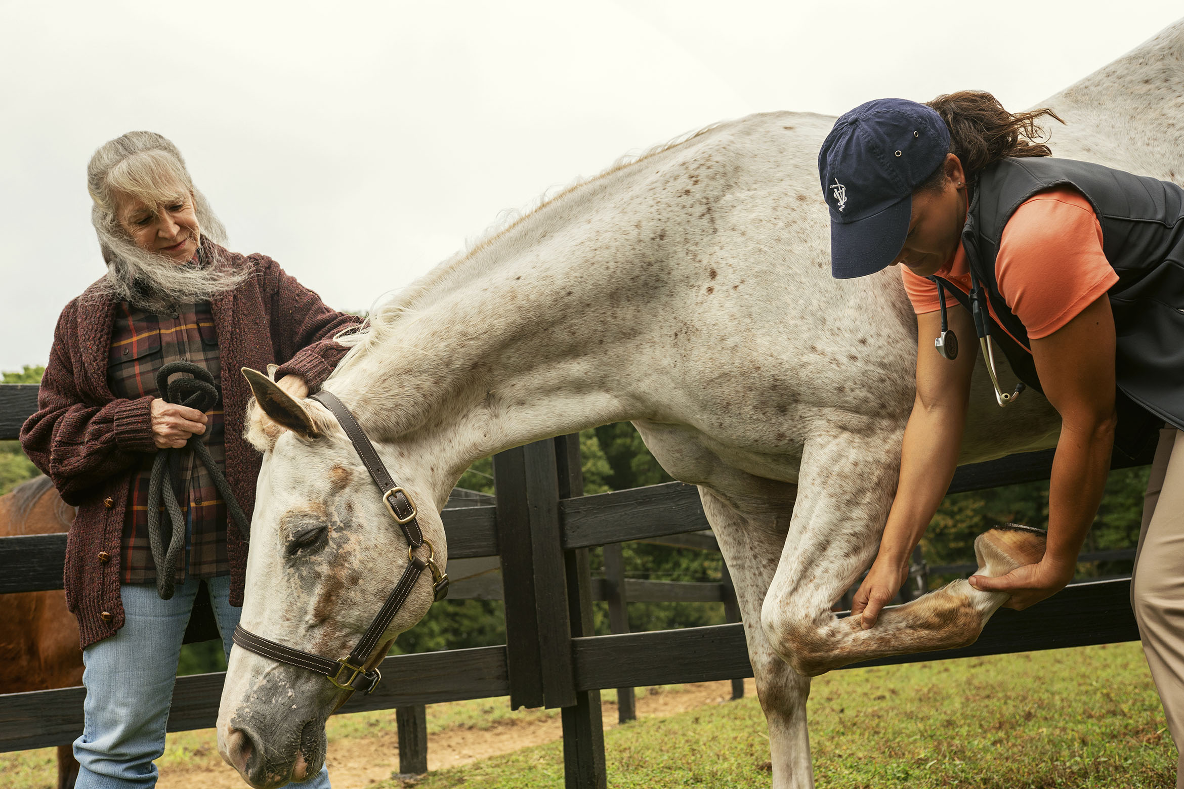 equine-first-aid-kit